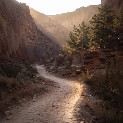 Desert Canyon Path Toward Evergreen Cross