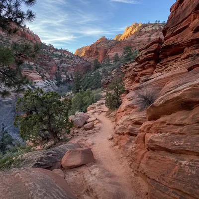 Evergreen Desert Path Through Red Canyon