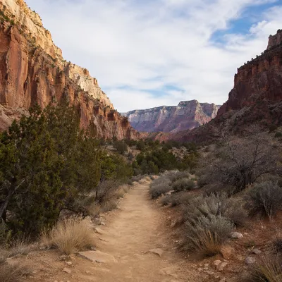 Evergreen Desert Path Through Red Canyon