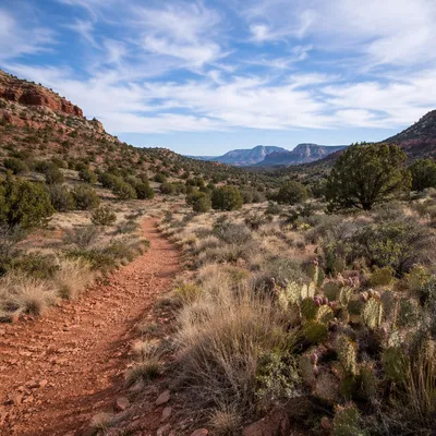 Winding Desert Canyon Path with Evergreens