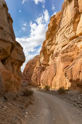 Winding Desert Canyon Path in Sunlight