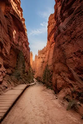 Desert Path Through Red Sandstone Canyon