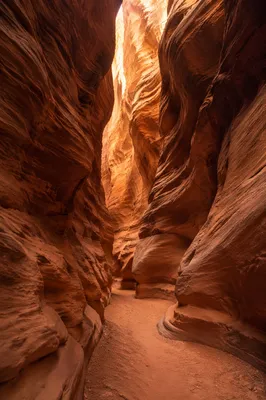 Winding Desert Path Through Slot Canyon