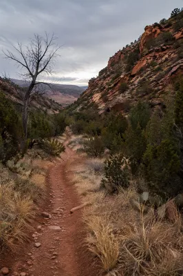 Quiet Desert Canyon Pilgrimage Path