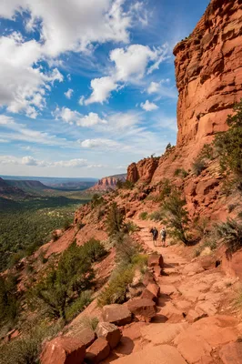 Winding Canyon Desert Path with Evergreens