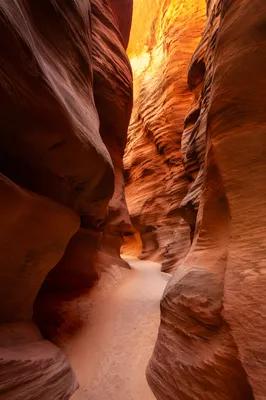 Winding Desert Canyon Path in Warm Light