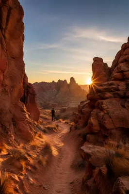 Winding Desert Canyon Path at Golden Sunset