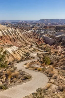 Winding Desert Canyon Path in Sunlight