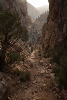 Desert Canyon Path of Enduring Hope
