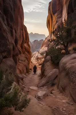 Prayerful Desert Path Through Evergreen Canyon