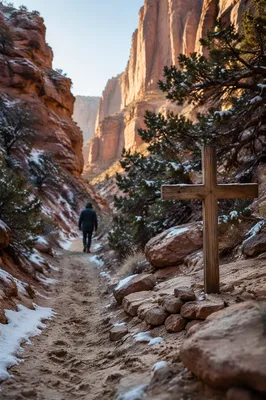 Evergreen Faith Path Through Sandstone Canyon