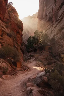 Desert Canyon Path to Evergreen Cross
