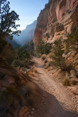 Desert Canyon Path with Evergreen Junipers