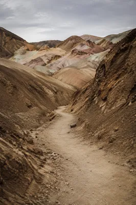 Winding Desert Canyon Path in Soft Light