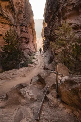 Desert Canyon Path with Evergreen Hope