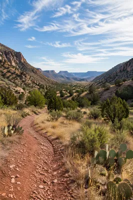 Winding Desert Canyon Path with Junipers