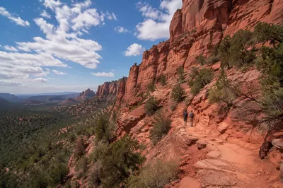 Winding Canyon Path with Evergreen Shrubs