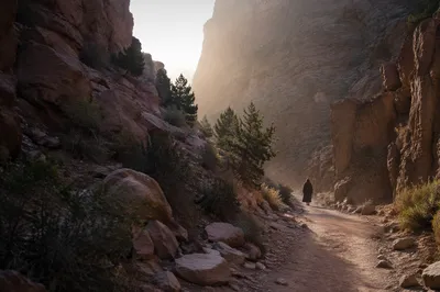 Desert Canyon Path of Enduring Hope