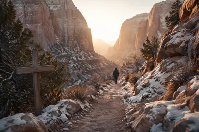 Evergreen Faith Along a Desert Canyon Path