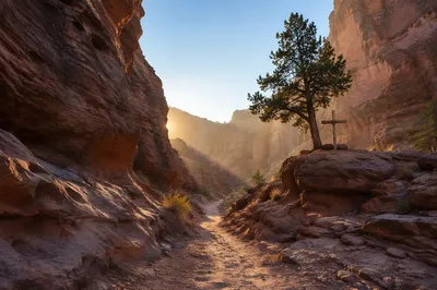 Evergreen Cross Along Desert Canyon Path