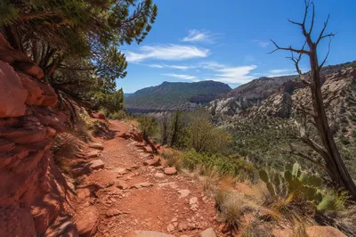 Desert Canyon Path Framed by Evergreens