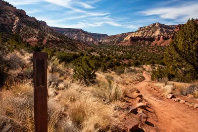 Desert Canyon Trail with Evergreen Junipers