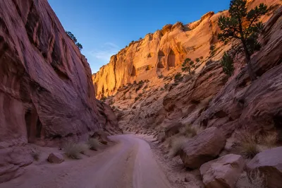 Winding Desert Canyon Path with Junipers