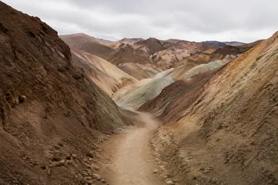 Winding Desert Canyon Path in Still Light