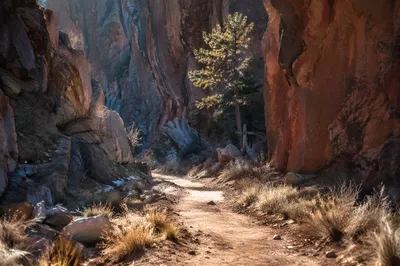 Desert Canyon Path to Evergreen Cross