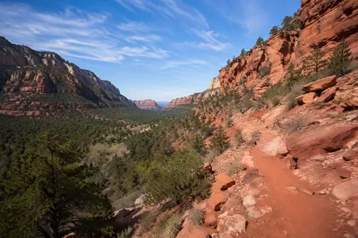 Winding Desert Canyon Trail with Evergreen Valley