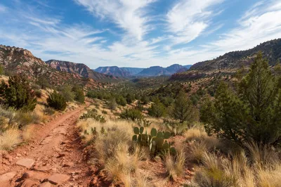 Winding Desert Canyon Path with Junipers