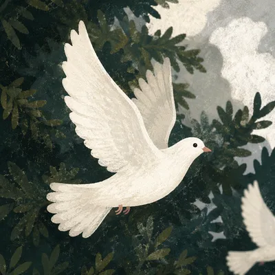 White Dove Flying Through Evergreen Light