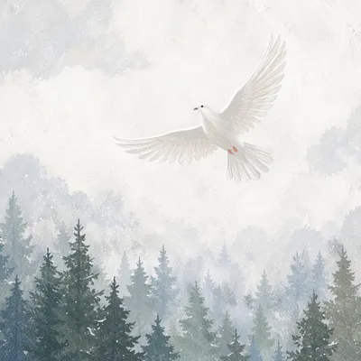 White Dove Over Misty Evergreen Forest