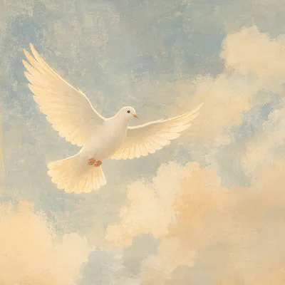 White Dove in Serene Heavenly Sky