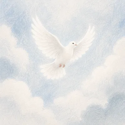 White Dove in Serene Heavenly Sky