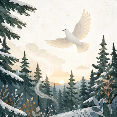 White Dove Over Evergreen Forest Clearing
