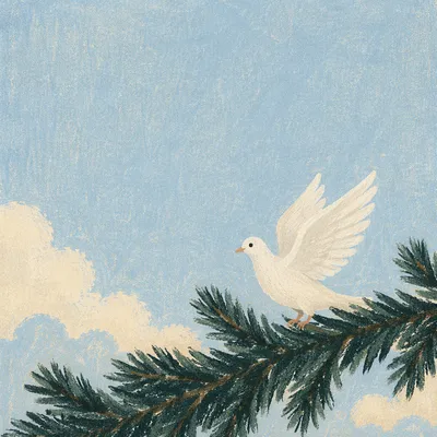 White Dove Rising from Evergreen Branch