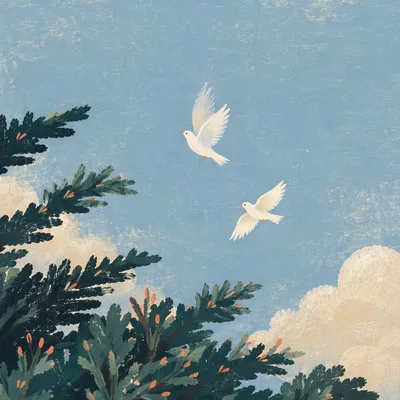 White Doves Above Evergreen Morning Sky