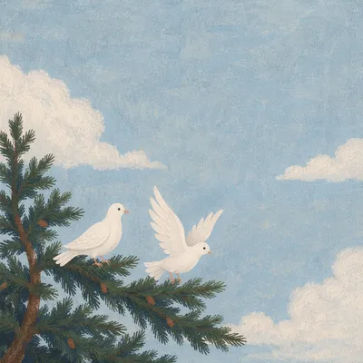 White Doves Above Evergreen Branches
