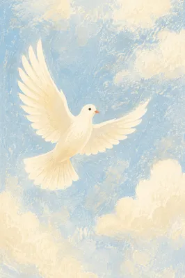 White Dove in Peaceful Open Sky