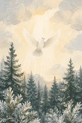 White Dove Over Evergreen Winter Sky