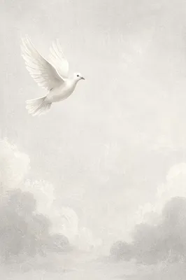 White Dove Flying Through Peaceful Gray Sky