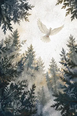 White Dove Over Evergreen Winter Forest