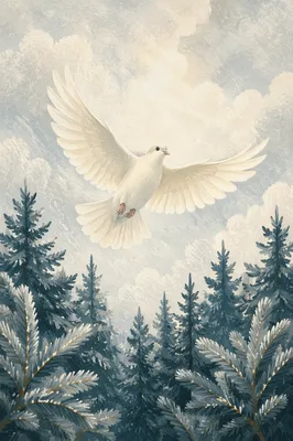White Dove Above Winter Evergreen Pines