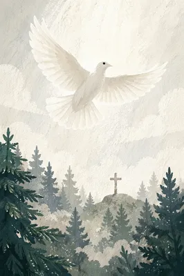 White Dove Over Evergreen Forest Cross