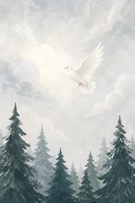 White Dove Above Evergreen Forest