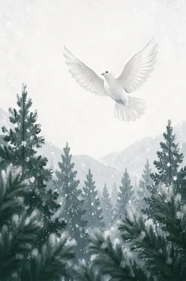 White Dove Over Evergreen Winter Forest