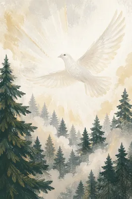 White Dove Above Evergreen Forest