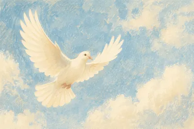 White Dove Soaring in Peaceful Sky