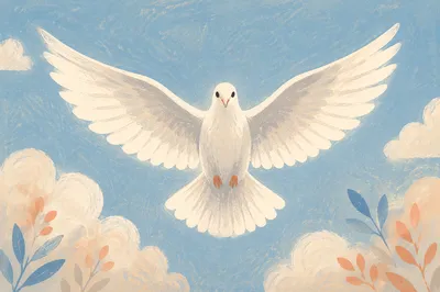 White Dove Flying Through Open Sky